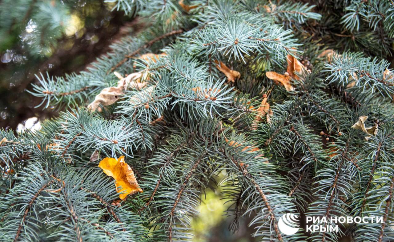 Прогноз погоды в Крыму на субботу