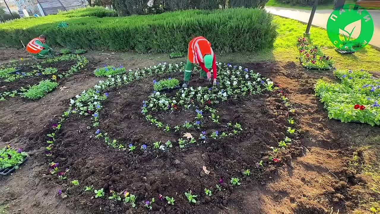 Новые клумбы высадили в сквере Гагарина по эскизам детей и подростков
