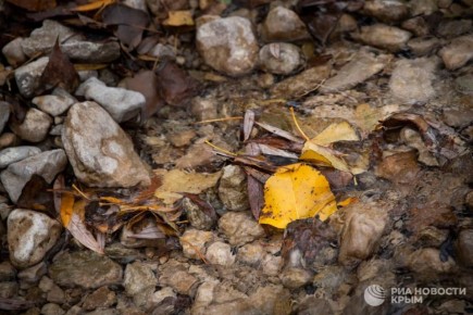 Прогноз погоды в Крыму на воскресенье
