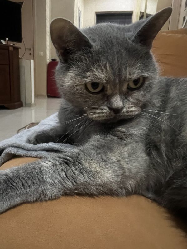 Сегодня тот самый день, когда можно устроить внеочередную фотосессию своему хвостику!