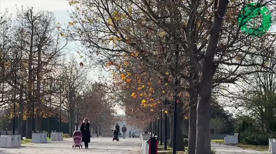 В парке Победы выполнены работы по благоустройству