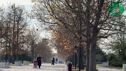 В парке Победы выполнены работы по благоустройству