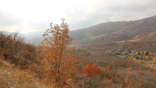 Погода на 30 ноября 2025 года в Крыму и Севастополе: воздух прогреется до 18 градусов