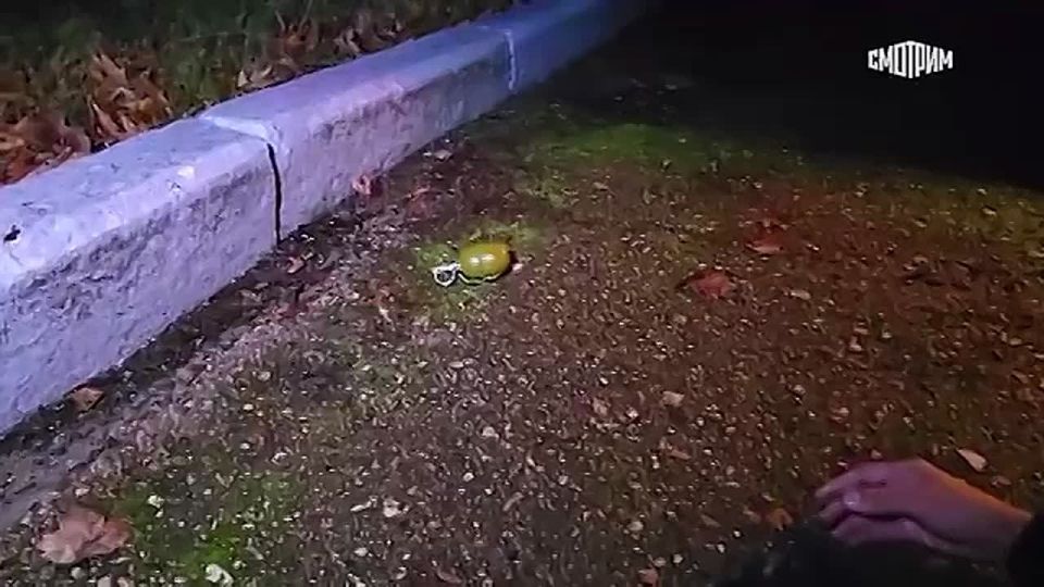 � ����� ������������� ������ ������ �������� ������� �� ��, ������� �������� ��� �� ������� � ���