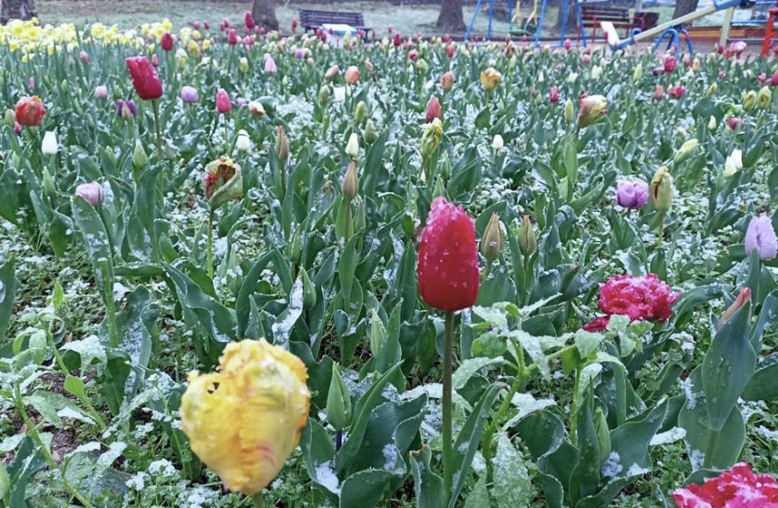 Погода в Севастополе на Новый год 2025