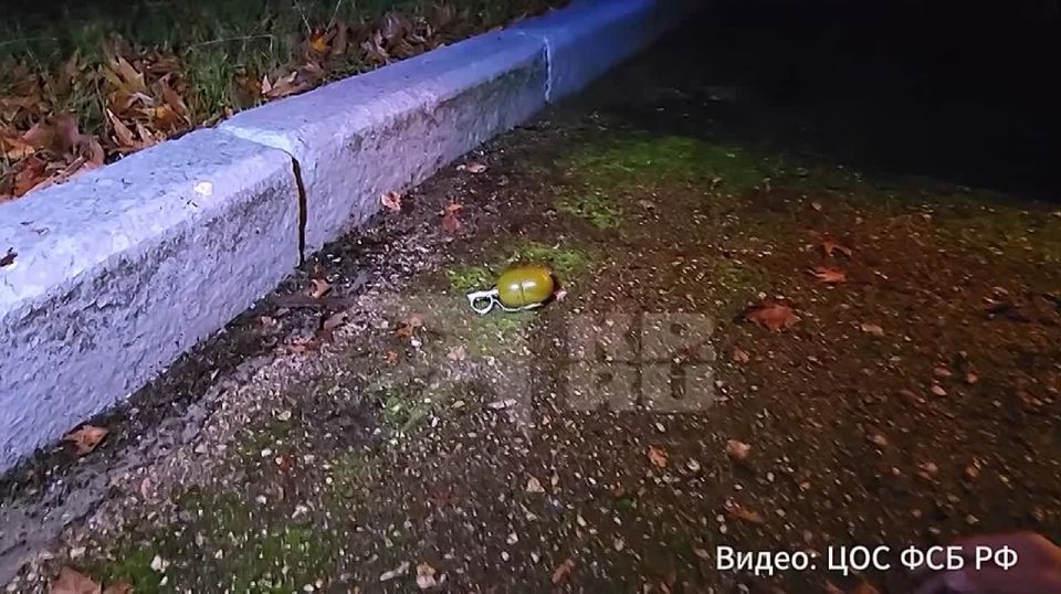 Видео задержания от ФСБ России