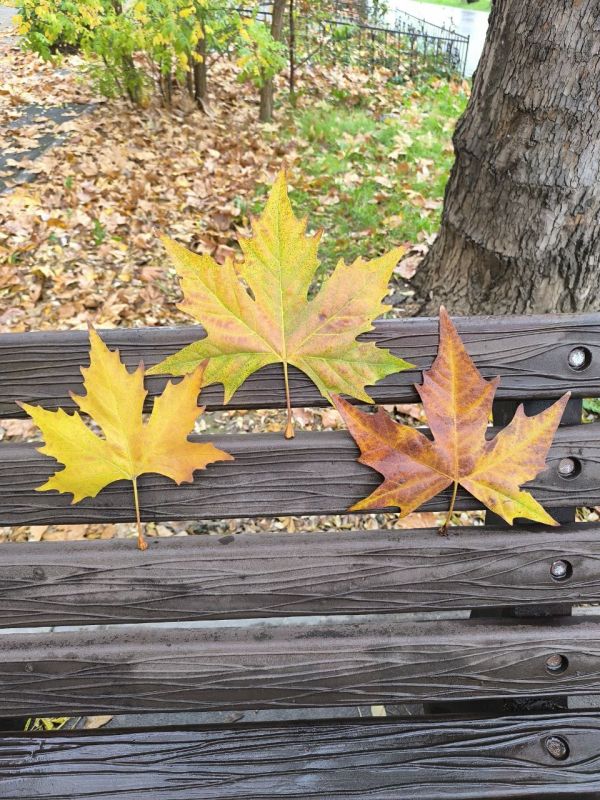 ������� ������������ ����, ������!