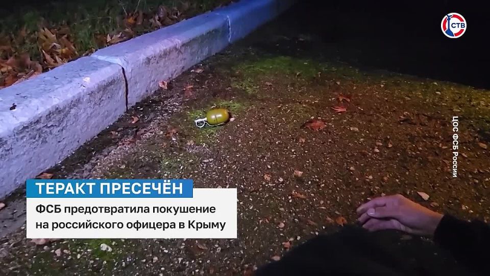 ФСБ предотвратила попытку теракта в Крыму, организованную украинской разведкой