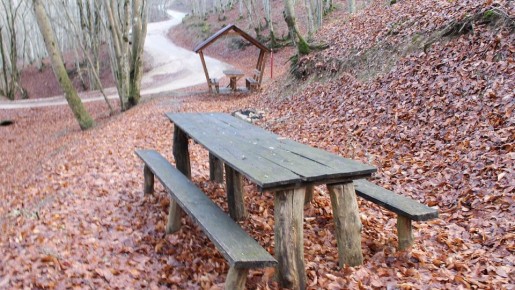 Погода на 2 декабря 2025 года в Крыму и Севастополе: воздух прогреется до 13 градусов