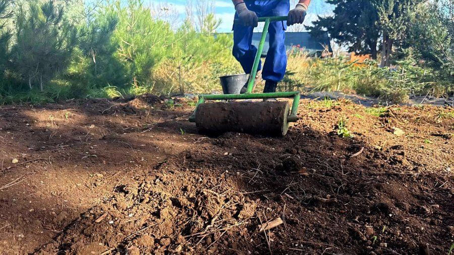 � ����������� ������ ����� ������ ��� ������� �����