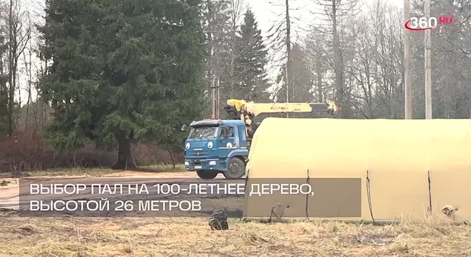 � ������ ������� ������� ���� ������