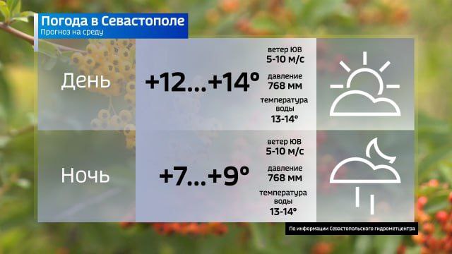 Прогноз погоды на завтра. Вести Севастополь: Telegram | MAX