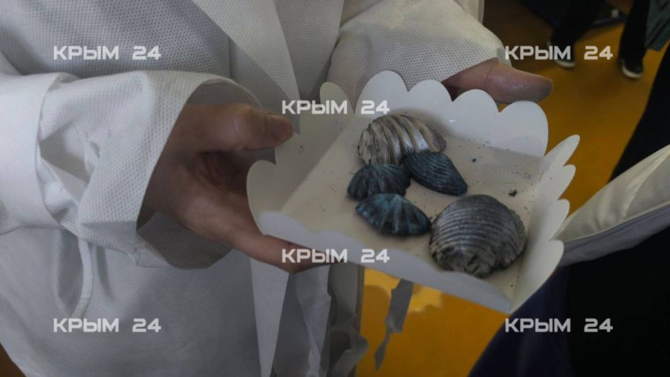 В Севастополе на прилавках скоро появятся креветки в шоколаде