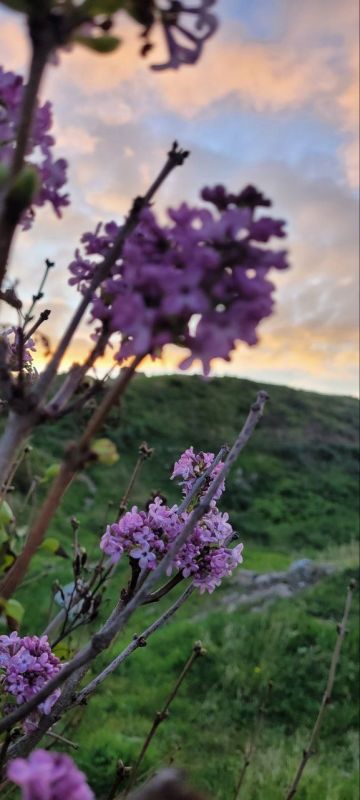 Я календарь переверну-. И снова 3 декабря