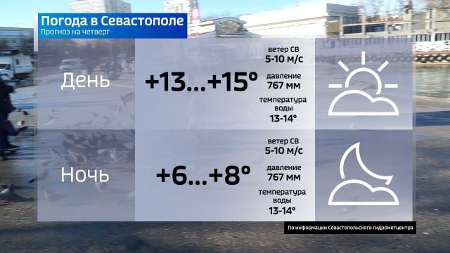 Когда вы дочитаете нашу стенограмму с прямой линии губернатора, не забудьте изучить прогноз погоды на завтра!