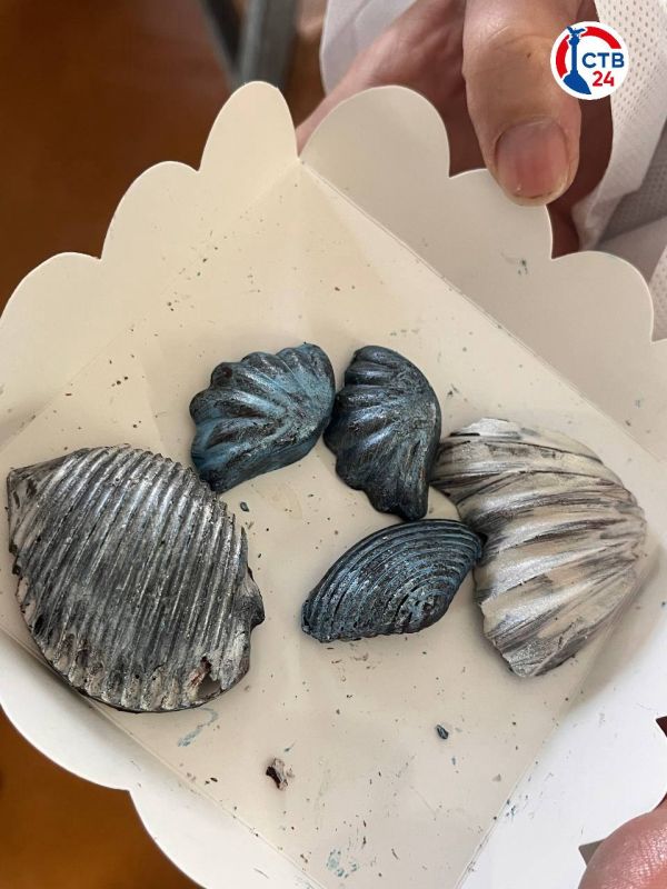 Благодаря государственной поддержке в Севастополе развиваются городские предприятия