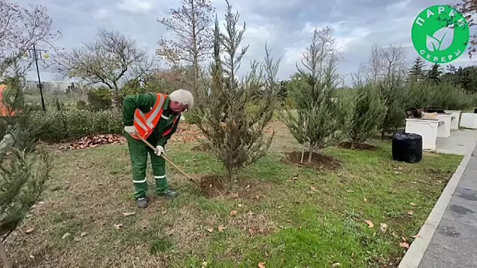 �������� �� ������� ������ ���������� ��������� ����������� ������� � �������