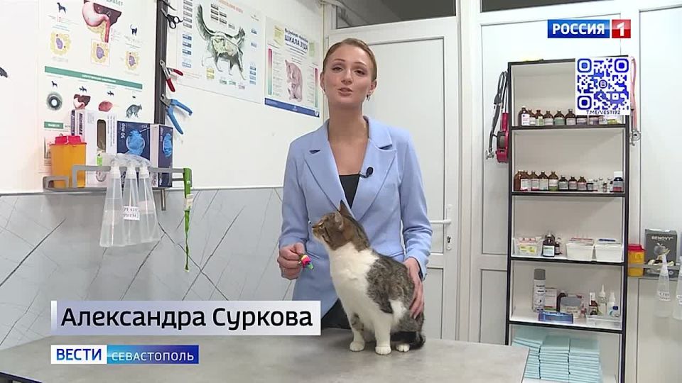 �������� ������� ���� �� ������� ������ ������� �����������, ��� ���� � ��� ���� ����