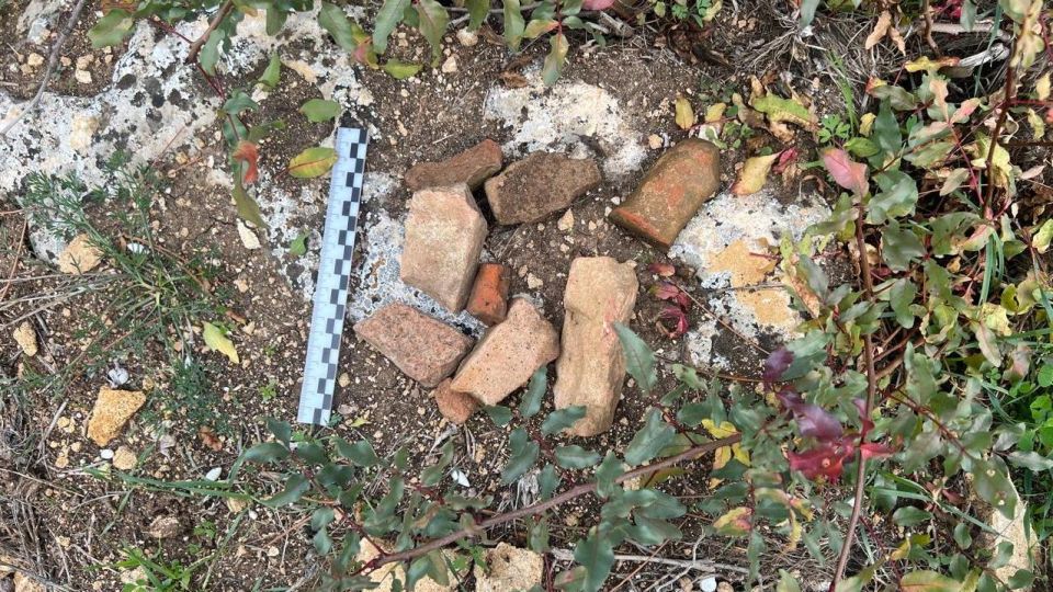 В Севастополе перед судом предстанет женщина за повреждение древней усадьбы