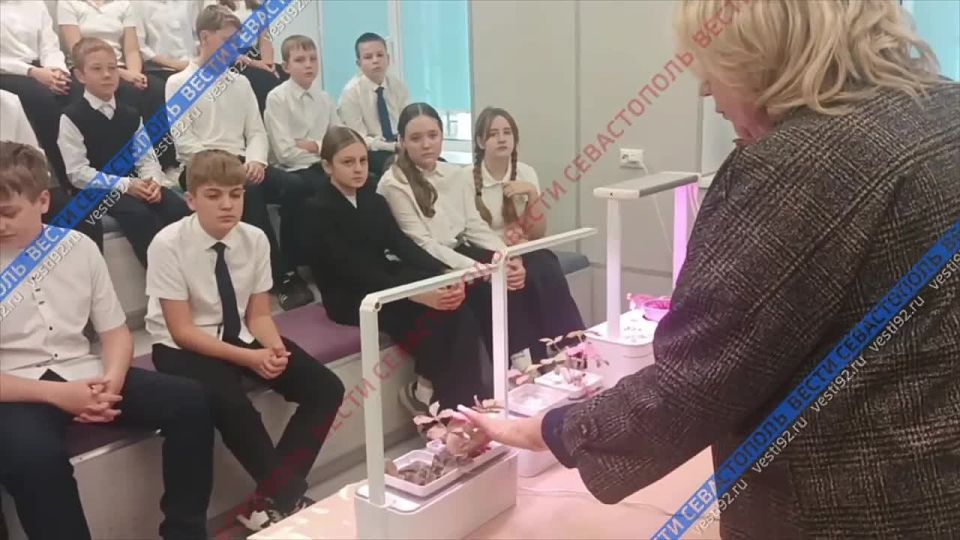 Занятия для 6 класса по агрокультуре проходят в школе №17 в поселке Сахарная Головка