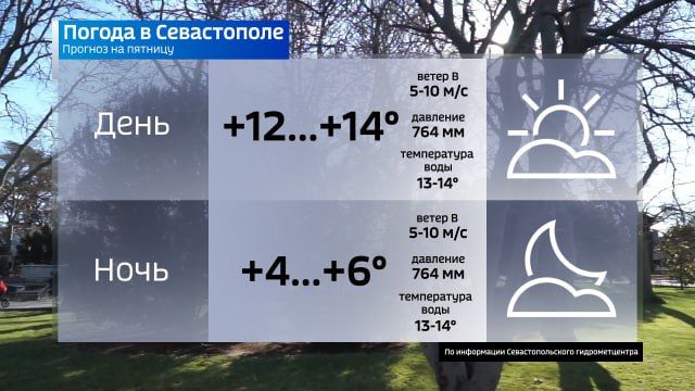 Ура! Или не ура?! Но завтра пятница! И впереди выходные!