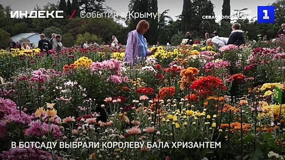 ������� ���������� ���� �������� ����� ������� � ��������� ������� �����