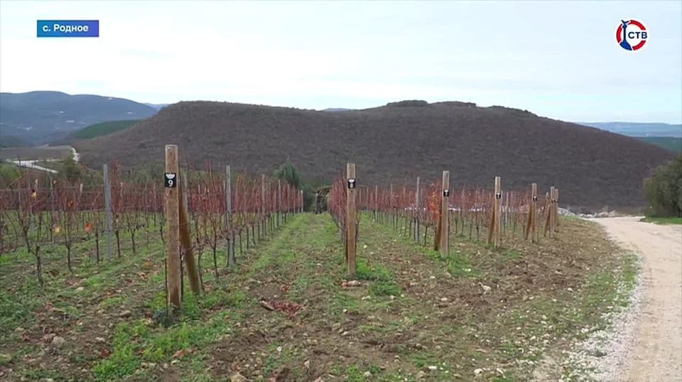 � ����������� ���� ������������ �������� ���������� ������� ������������ � �������� ���������