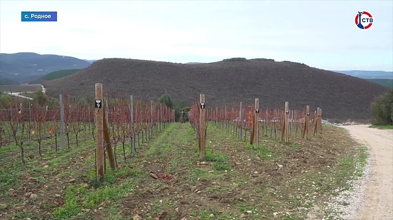 В Севастополе меры господдержки помогают привлекать молодых специалистов в сельское хозяйство