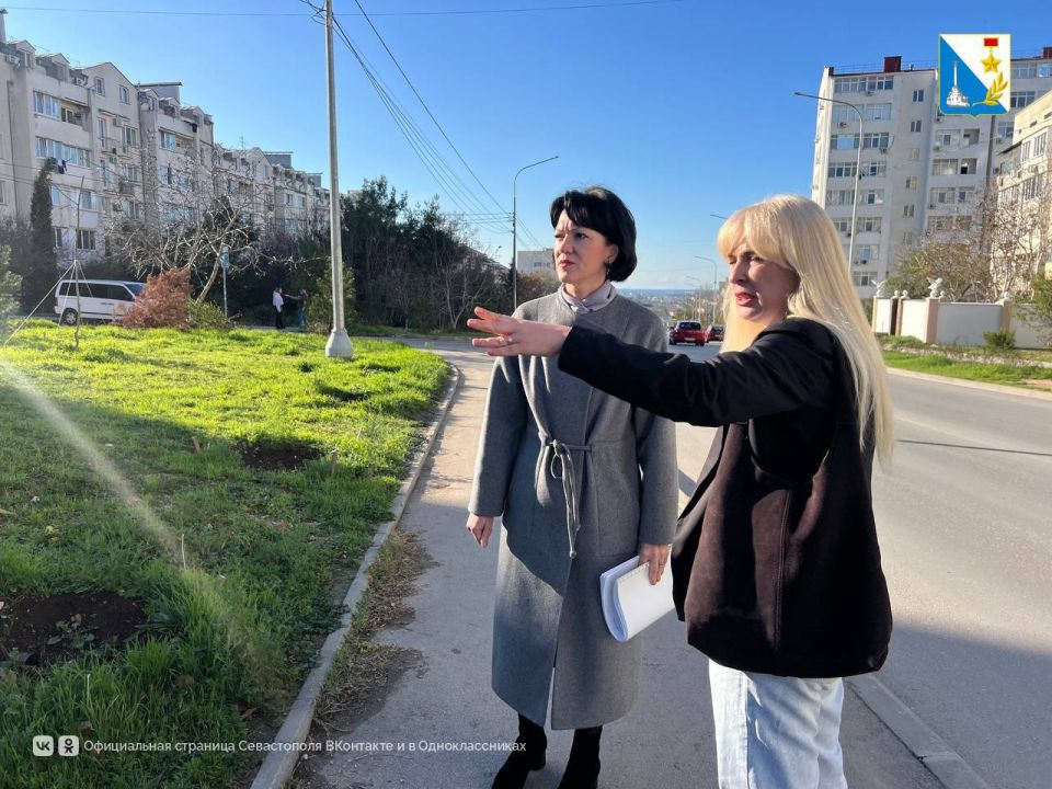 На улице Маринеско уже заменяют засохшие деревья