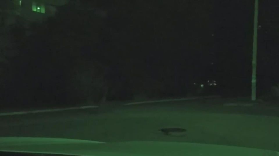 ��� �������� � ����������� ���������� ��������� �� ������� ������������� �����