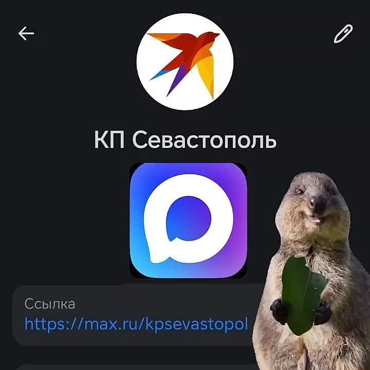 Ну а мы напоминаем, что КП-Севастополь есть в отечественном месенджере!