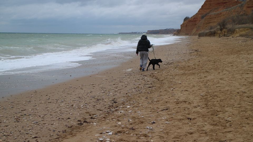 Погода на 5 декабря 2025 года в Крыму и Севастополе: воздух прогреется до 14 градусов