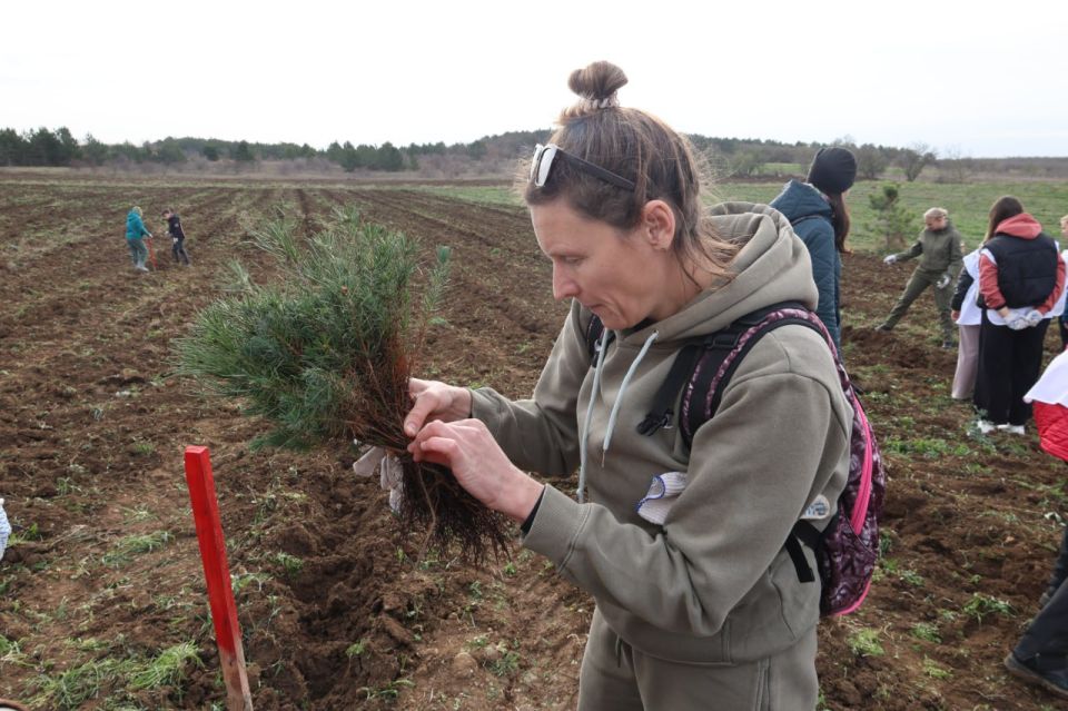 В Севастополе заложили новый сосновый бор в рамках акции "Сохраним лес"