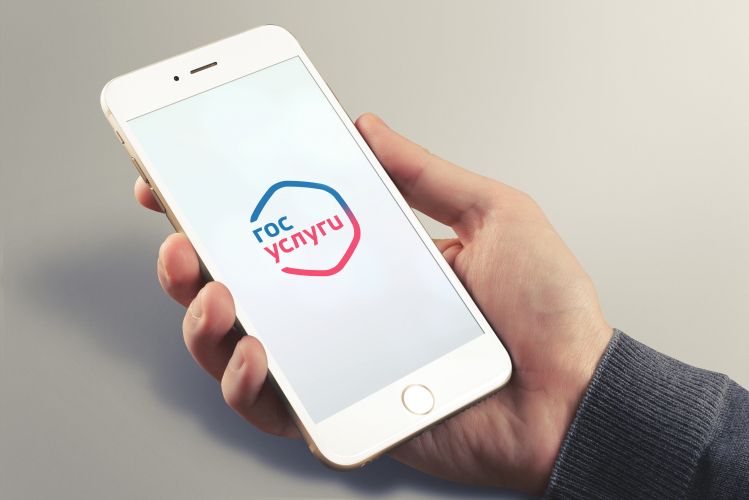 Почему не приходит постановление с фотофиксацией за неправильную парковку на Госуслуги: разъяснение департамента транспорта