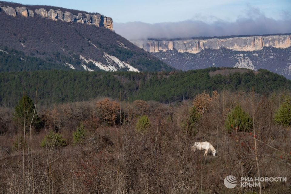 Прогноз погоды в Крыму на субботу