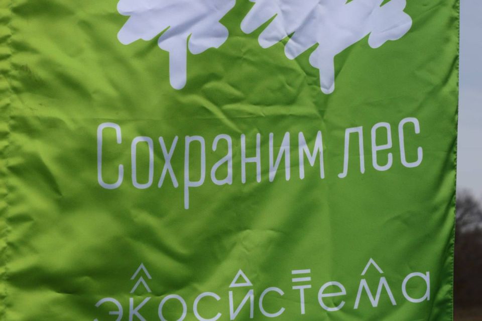 Севастополь стал финальным, 89-м регионом России, присоединившимся к всероссийской акции «Сохраним лес»
