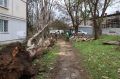 В Керчи устраняют последствия сильного ветра