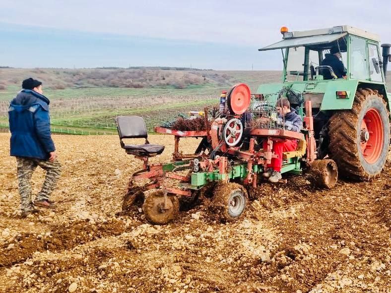 � ����������� �������� ����� ������������ �� 264 ��������