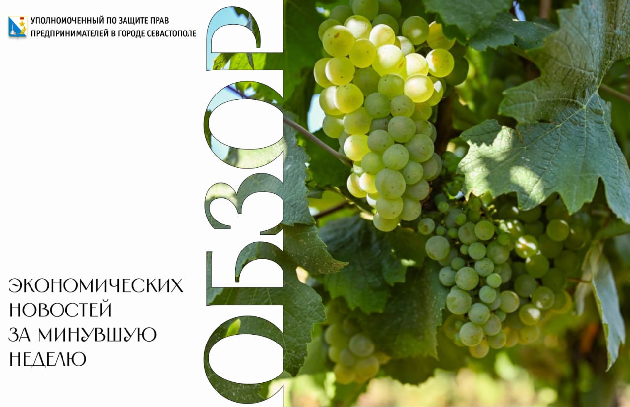 Илья Пестерников: Правительство утвердило Национальную модель целевых условий ведения бизнеса