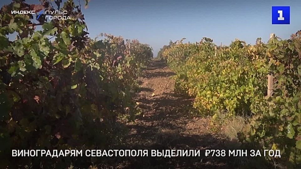 ������������ ����������� �������� 738 ��� ���