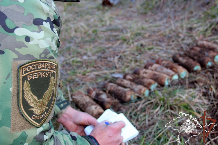 Боеприпасы времен Великой Отечественной войны обследовали росгвардейцы в Севастополе