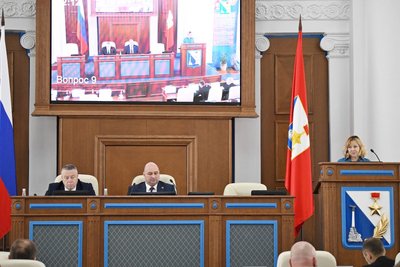 В Законодательном Собрании выступила член политической партии, не представленной в региональном парламенте