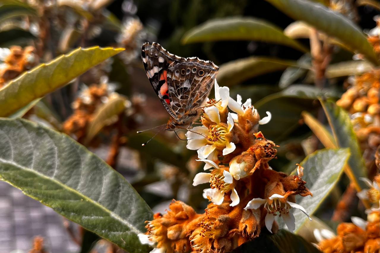 С добрым утром, друзья!. В Севастополе днем дождь
