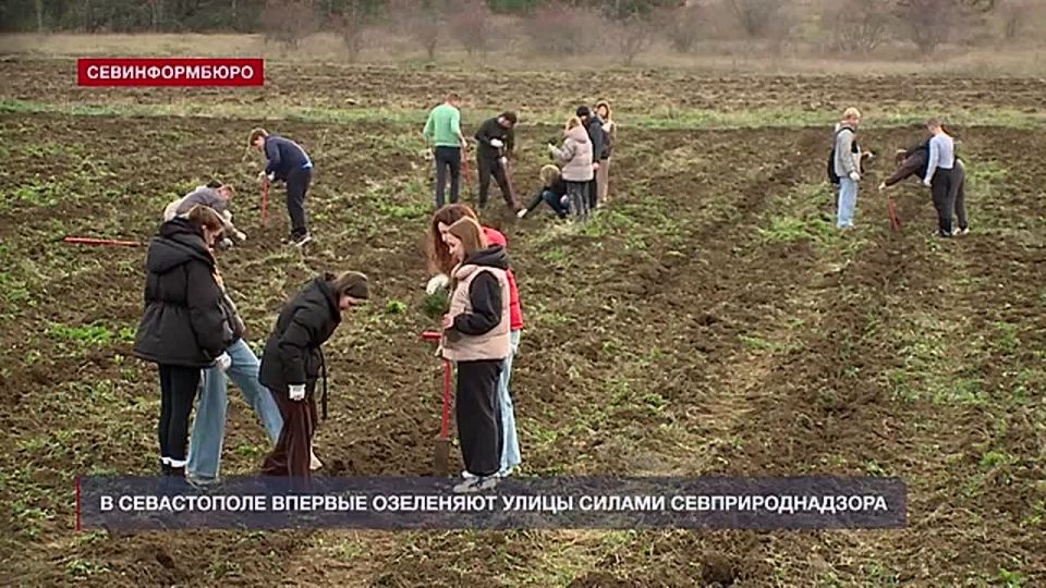 � ����������� ������� ��������� ����� ������ ����������������