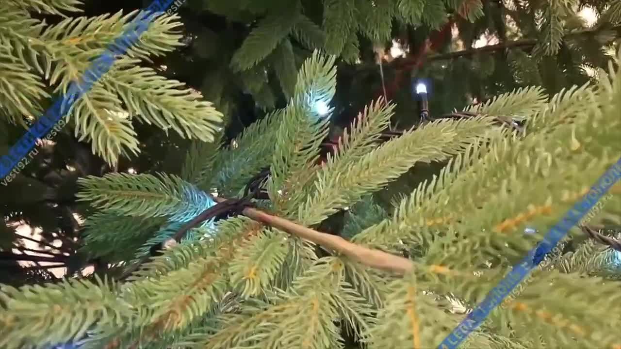 Сотрудники музея-заповедника «Херсонес Таврический» нарядили новогоднюю ель в музее Античности и Византии