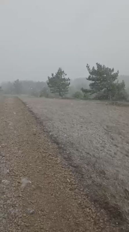 �� ��-����� � ����� ����� ����