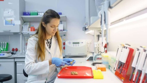 Институт биологии южных морей признан государственным научным центром