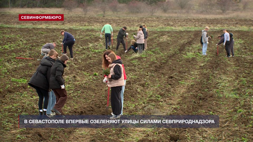 � ����������� ������� ��������� ����� ������ ����������������