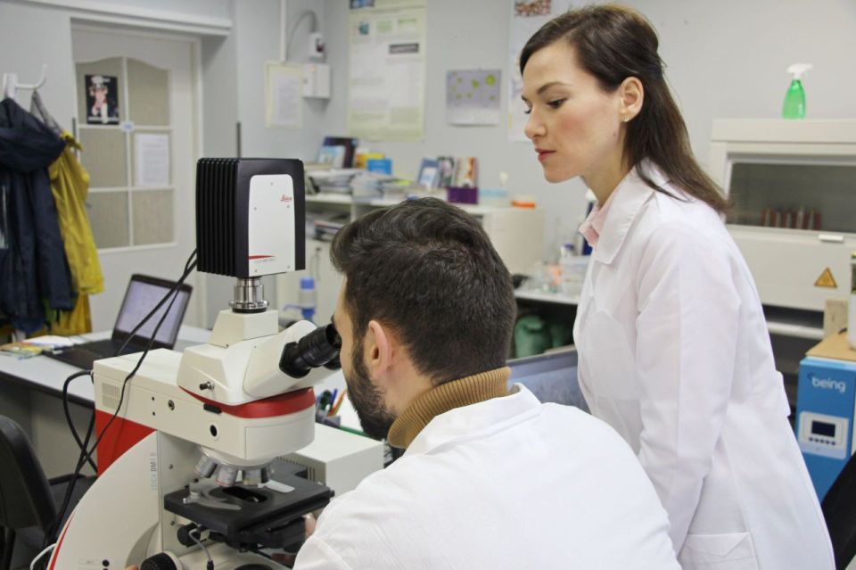 ����� ������� ���������� �� ������������� � 2027 ����