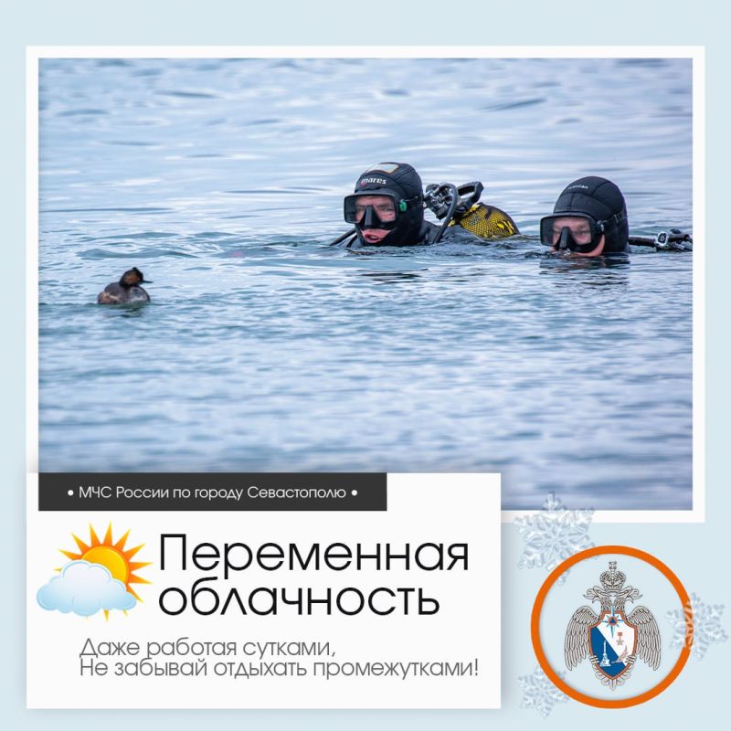 ������ ����, �����������!. �� ������ ��������������, 11 ������� � ����������� ����� ���������� ����������